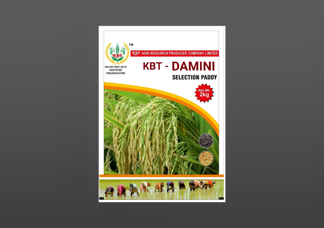 KBT - DAMINI 2Kg